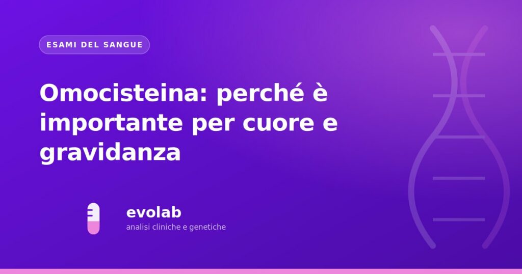 Omocisteina: perché è importante per cuore e gravidanza